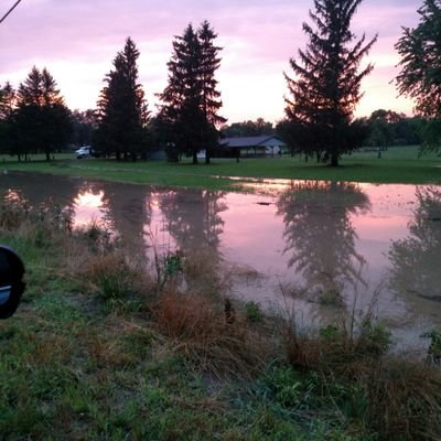 Vicky Ricketts - Twitter Profile Picture of Vicky Ricketts (@sewnitup53) on Twitter