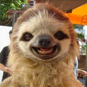 Profile Picture of Steven Sieber (@visionmatter) on Pinterest