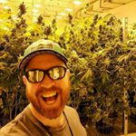 Profile Picture of Wayne Carson (@cllkbuds_eu) on Instagram
