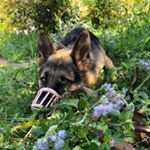 Profile Picture of Alex (@alexsmarty00) on Instagram