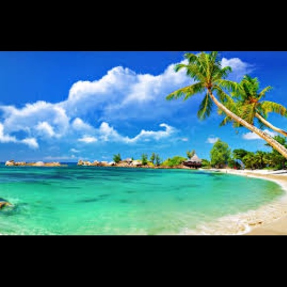 Profile Picture of Leane Brackner (@lbrackner) on Poshmark