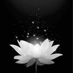 Profile Picture of Anhthu Hoang (@anhthu.hoang.144) on Facebook