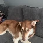 Profile Picture of Jaylen Browning (@jaylen.browning.2025) on Facebook