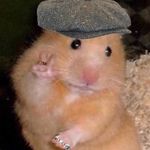 macho michelle - Instagram Profile Picture of macho michelle (@chinnychin_chen) on Instagram