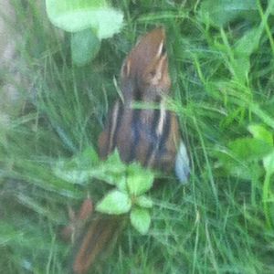 Profile Picture of Zachary Powell (@darkhellwolf80) on Myspace