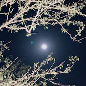 Profile Picture of Fatima Ahmed (@fatimaahmed4074) on Youtube