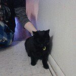 Profile Picture of Amanda prevatte (@panth1234) on Instagram