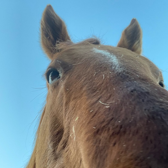 Profile Picture of Taeya Doornbos (@taeya_doornbos) on Poshmark