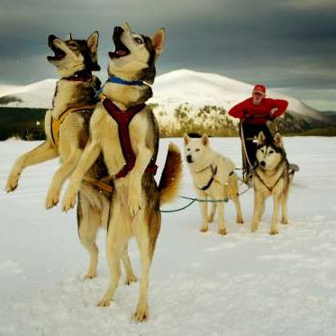 Profile Picture of Felix Wilfredo Jimen (@JimenWilfredo) on Twitter