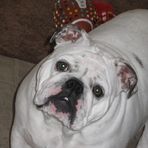 Profile Picture of Cynthia Blachly (@cynthia.blachly) on Facebook