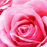 Profile Picture of Isharani Singh (@isha127306) on Instagram