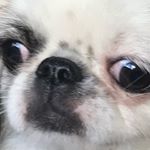 Profile Picture of John (@john.joyce1) on Instagram