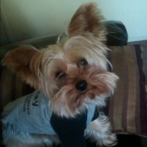 Profile Picture of Kim Ransom (@kimmybling) on Poshmark