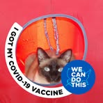 Profile Picture of Lorie Hackett (@lorie.hackett) on Facebook