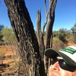 Brad Gillard - Instagram Profile Picture of Brad Gillard (@b2gillard) on Instagram