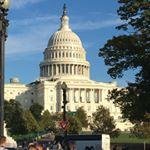 Profile Picture of Ellen Nunno Corbo (@derekjomut7863) on Instagram