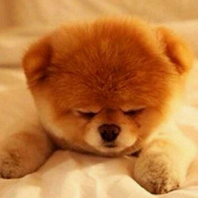 Profile Picture of JUEUN KIM (@iorstar) on Twitter