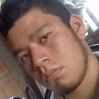 Profile Picture of Luis Alberto Cespede (@cespedes_leanos) on Twitter