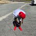 Profile Picture of Amari Stringer (@amari.stringer.3) on Facebook
