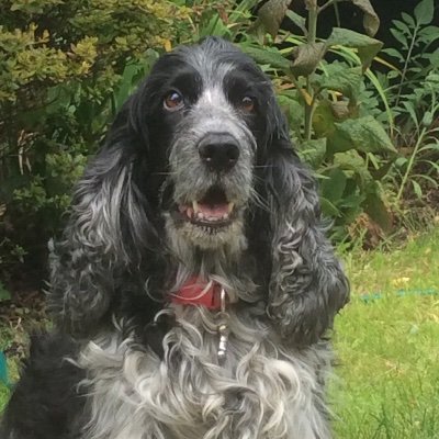 Profile Picture of Reg Kemp (@reg_kemp) on Twitter