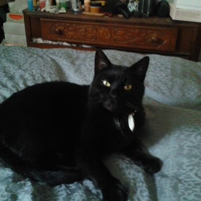 Profile Picture of Claire Branson (@ClaireBranson3) on Twitter