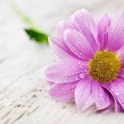 Profile Picture of Prutha Patel (@PruthaPatel4150) on Twitter