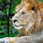 Profile Picture of Earl Mark Audi (@EarlMarkAudi) on Youtube