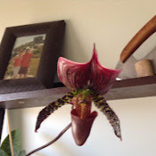 Profile Picture of Matt Gillette (@mattgillette6784) on Youtube