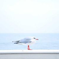 Profile Picture of Terry Bridges (@terrybridges624) on Tiktok