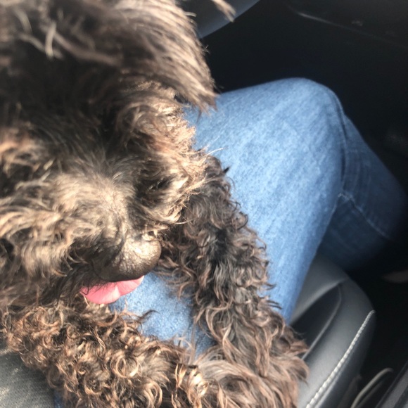 Profile Picture of Charlene Milano (@clmilano) on Poshmark