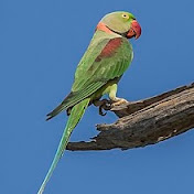 Profile Picture of Manu Nair  (@manunair2776) on Youtube