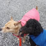 Profile Picture of Sandy Boyd (@sandy.boyd.532807) on Facebook