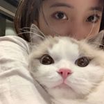 Profile Picture of xiaoli (@xingxingxidengle) on Instagram