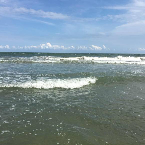 Profile Picture of Ernesta Coleman (@bigpooch212) on Poshmark