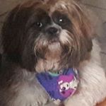 Profile Picture of Sonia Haro (@soniaharo1961) on Instagram