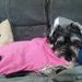 Profile Picture of Dora Quick (@cherokee27153) on Pinterest