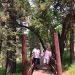 Profile Picture of Evelia Robles (@eveliarobles1709) on Instagram