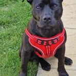 Profile Picture of Edward Pickering (@edward.pickering.7) on Facebook