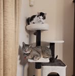 Ashley Stokes - Facebook Profile Picture of Ashley Stokes (@Ashley-Stokes) on Facebook