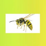 Osa Z Kokosa - Youtube Profile Picture of Osa Z Kokosa (@osazkokosa1520) on Youtube