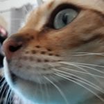 Profile Picture of François-Joseph Niedercorn (@bubble2lux) on Instagram