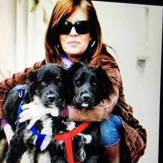 Profile Picture of Kim Gallagher (@Kim-Gallagher) on Facebook
