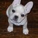 Profile Picture of Robert Howerton (@r_howerton2k4) on Pinterest