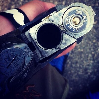 Profile Picture of Dan Luppino (@LuppinoDan) on Twitter