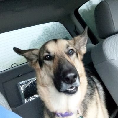 Profile Picture of Scott (@Scott_Montross) on Twitter