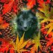 Profile Picture of Brandon Bright (@brightb18) on Pinterest