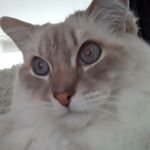 Profile Picture of Peter Jonker (@pjjonker) on Instagram