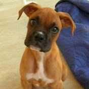 Profile Picture of Chris Cardwell (@chriscardwell5792) on Youtube