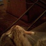 Profile Picture of Jasna Matonickin (@jasnamatonickin) on Instagram