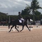 Profile Picture of Danielle Steiner (@dsteinerdressage) on Instagram